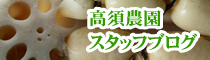スタッフブログ