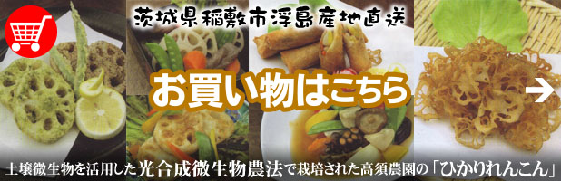 ひかりれんこん